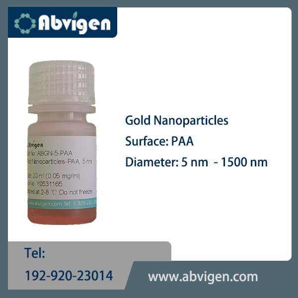 old Nanoparticles-PAA.jpg