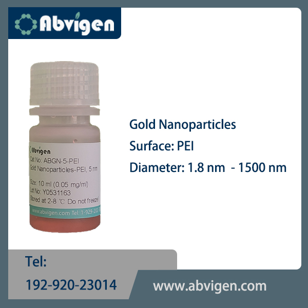 old Nanoparticles-PEI.jpg