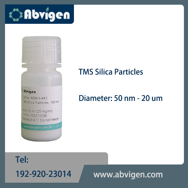 TMS Silica Particles.jpg