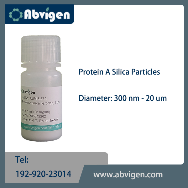 Protein A Silica Particles.jpg