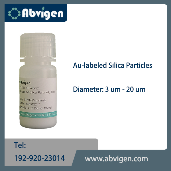 Au-labeled Silica Particles.jpg