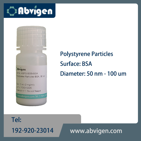 Polystyrene Particles-BSA.jpg