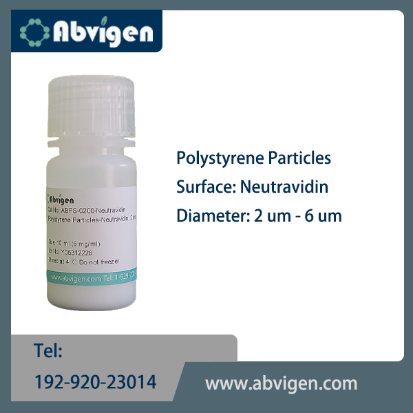 Polystyrene Particles-Neutravidin.jpg