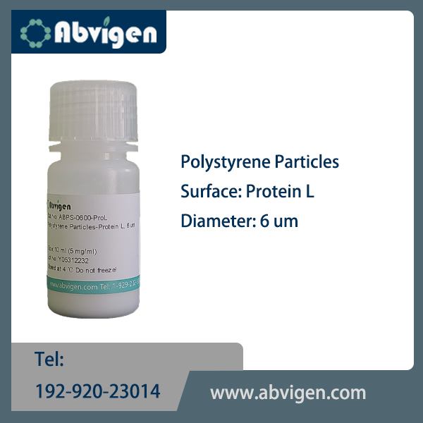 Polystyrene Particles-Protein L.jpg