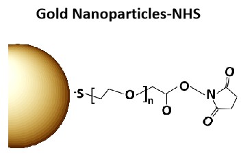 Gold Nanoparticles-NHS.jpg
