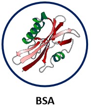 BSA.jpg