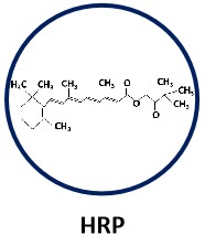 HRP.jpg