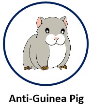 Anti-Guinea Pig.jpg