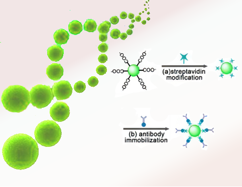 Fluorescent Particles.png