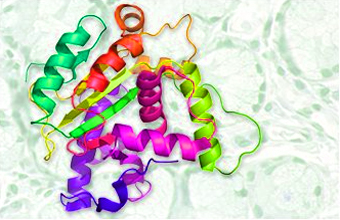 Recombinant Proteins.jpg