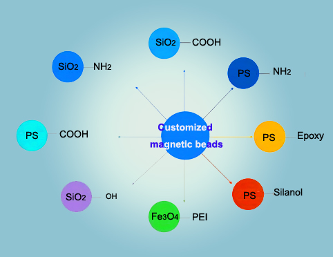 Customized magnetic bead.jpg