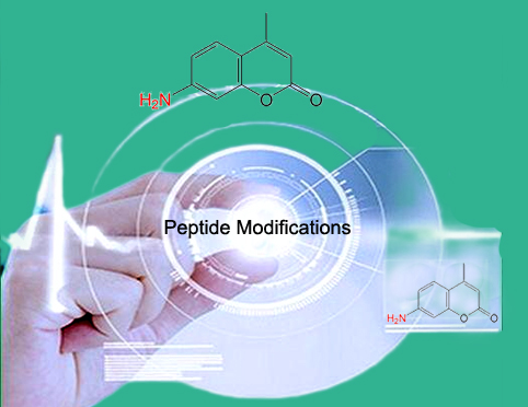 Peptide Modifications.jpg