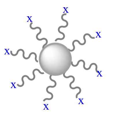 Silver Nanoparticles Conjugates.png