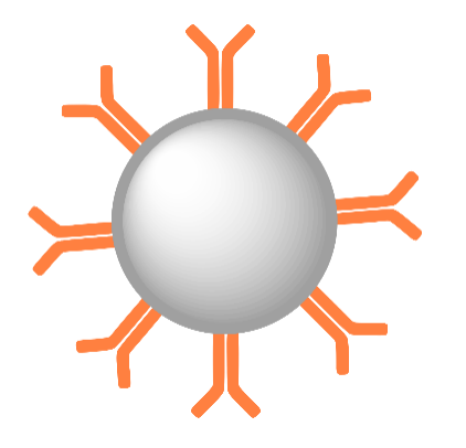 Functional  Silver Nanoparticles.png