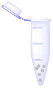 Silver Nanoparticle Conjugation Kits.png