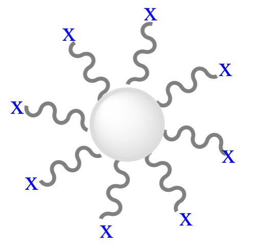 Functional Polystyrene Particles.png