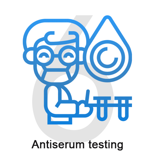 6 Antiserum testing.jpg