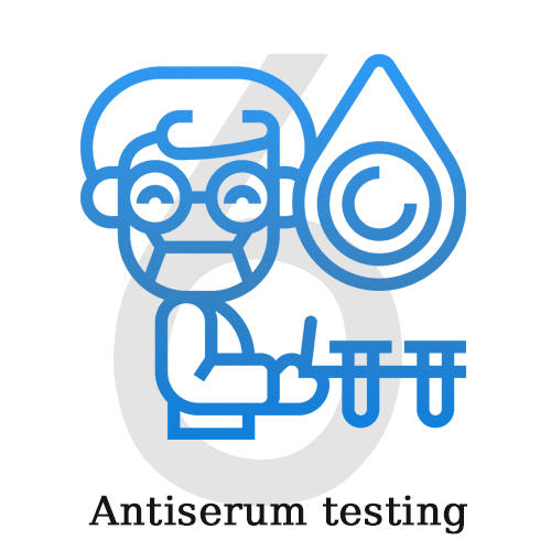 6 Antiserum testing.jpg