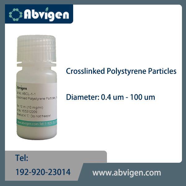 Crosslinked Polystyrene Particles.jpg