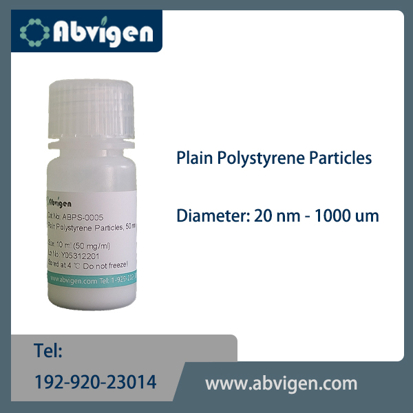 Plain Polystyrene Particles.jpg