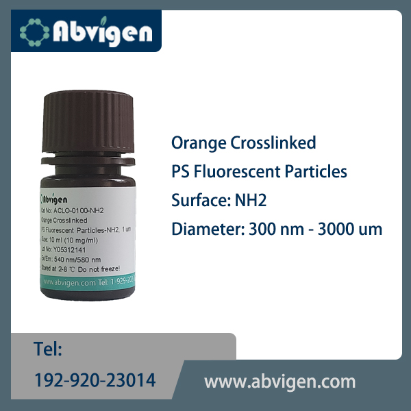 Orange Crosslinked PS Fluorescent Particles-NH2.jpg
