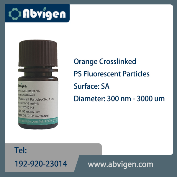 Orange Crosslinked PS Fluorescent Particles-SA.jpg