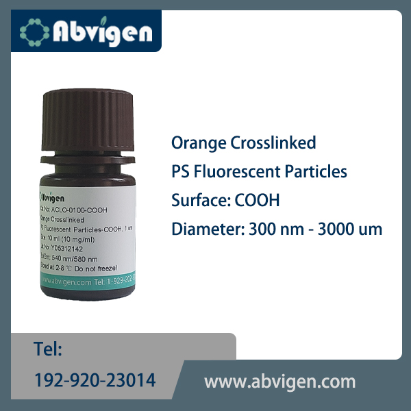 Orange Crosslinked PS Fluorescent Particles-COOH.jpg