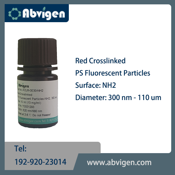 Red Crosslinked PS Fluorescent Particles-NH2.jpg