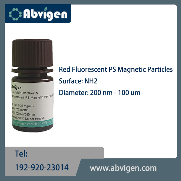 Red Fluorescent PS Magnetic Particles-NH2.jpg