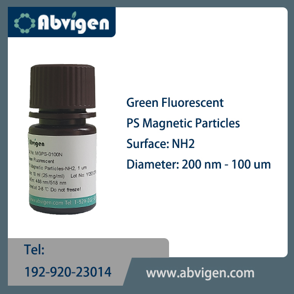Green Fluorescent PS Magnetic Particles-NH2.jpg