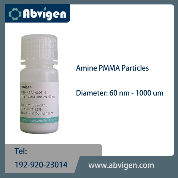 Amine PMMA Particles.jpg