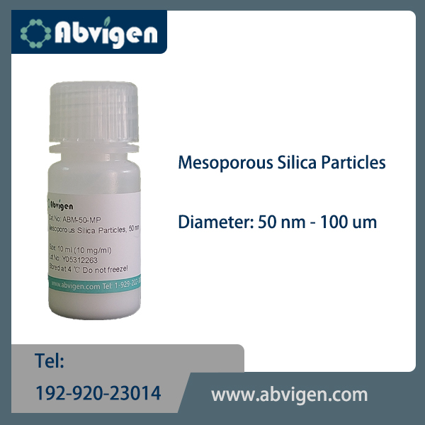 Mesoporous Silica Particles.jpg
