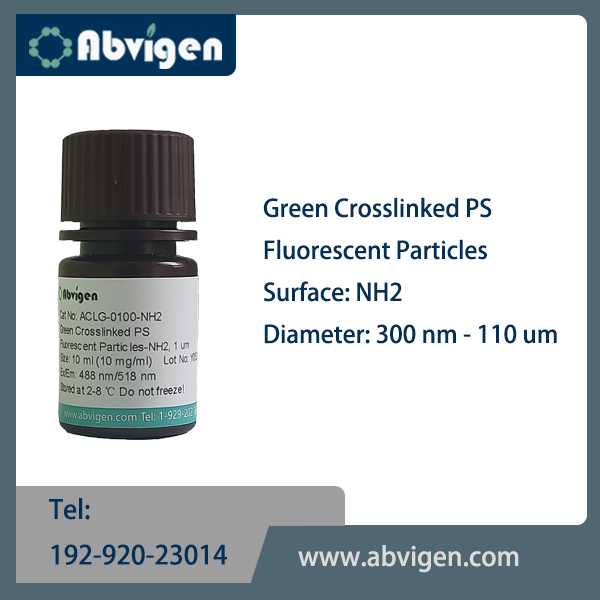 Green Crosslinked PS Fluorescent Particles-NH2.jpg