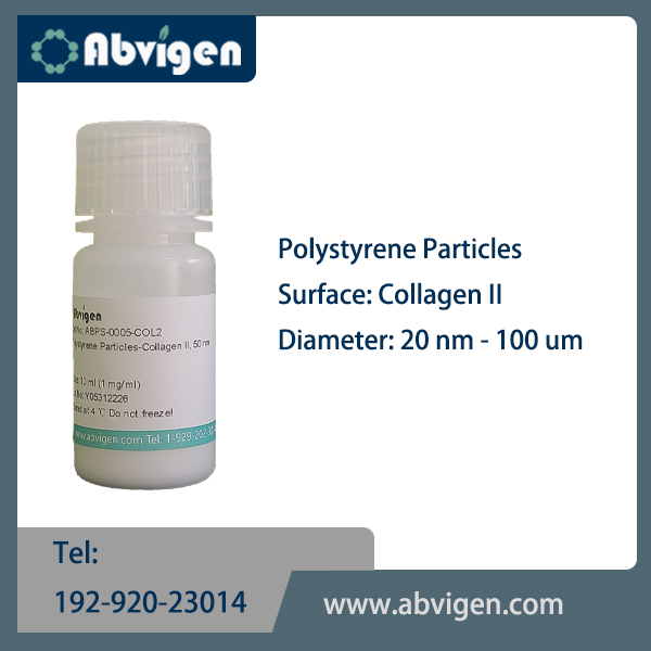 Polystyrene Particles-Collagen II.jpg