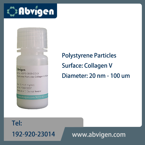 Polystyrene Particles-Collagen V.jpg