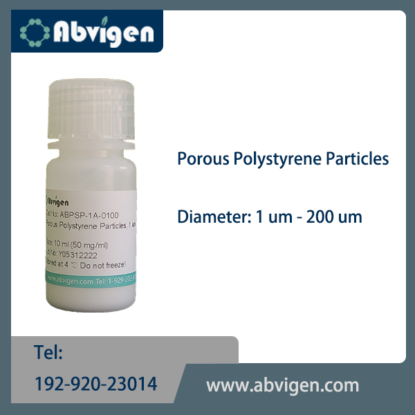Porous Polystyrene Particles.jpg