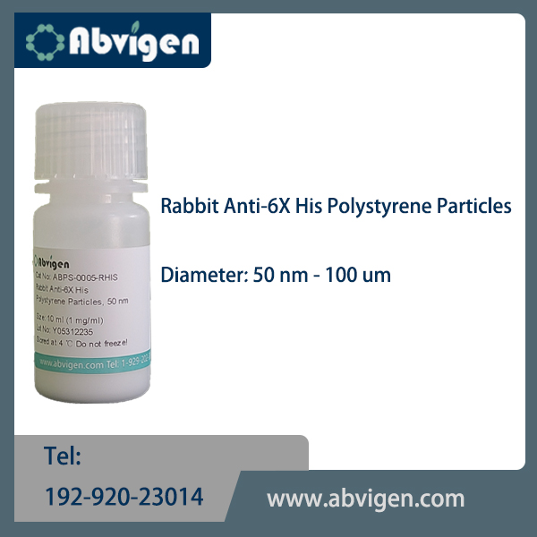 Rabbit Anti-6X His Polystyrene Particles.jpg