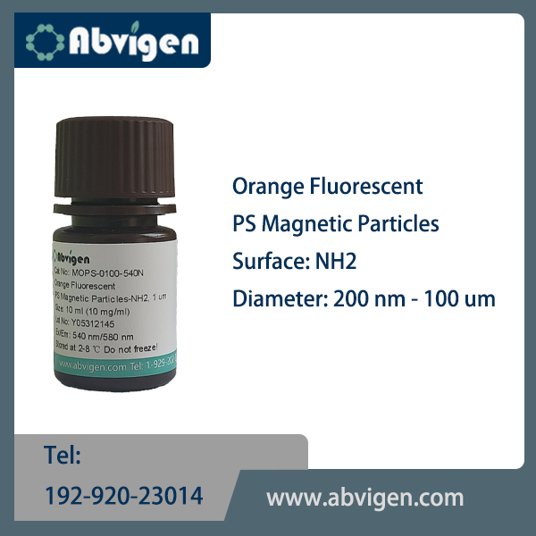 Orange Fluorescent PS Magnetic Particles-NH2.jpg