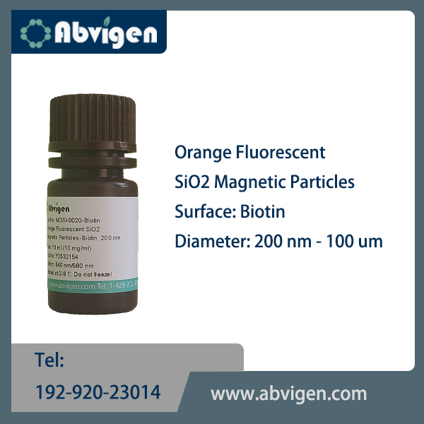 Orange Fluorescent SiO2 Magnetic Particles-Biotin.jpg