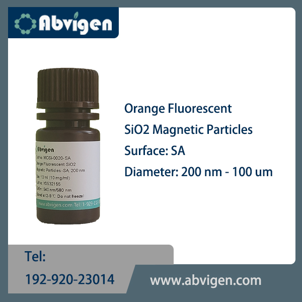 Orange Fluorescent SiO2 Magnetic Particles-SA.jpg