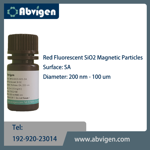Red Fluorescent SiO2 Magnetic Particles-SA.jpg