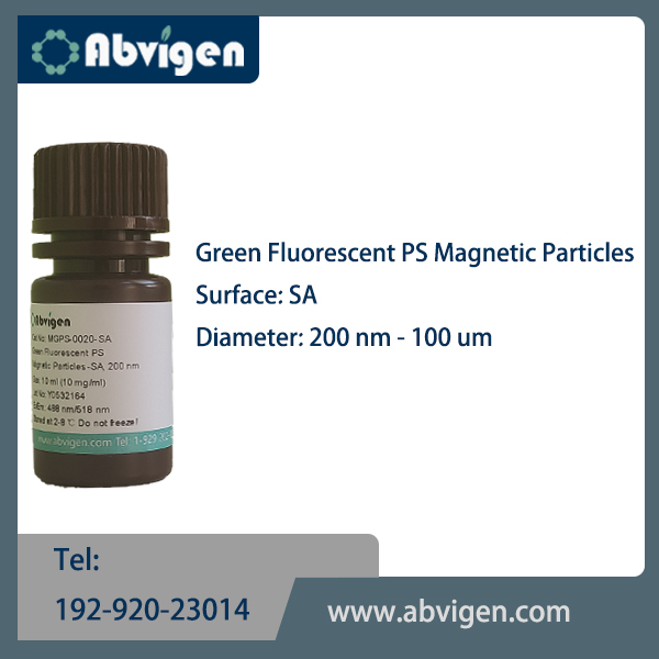 Green Fluorescent PS Magnetic Particles-SA.jpg
