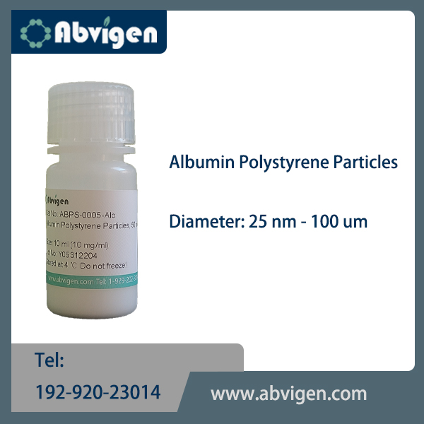 Plain Polystyrene Particles-Albumin.jpg