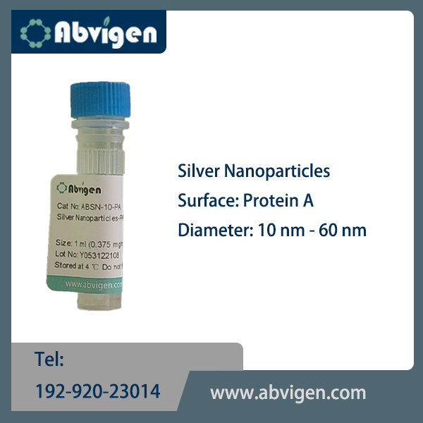 Silver Nanoparticles-PA.jpg