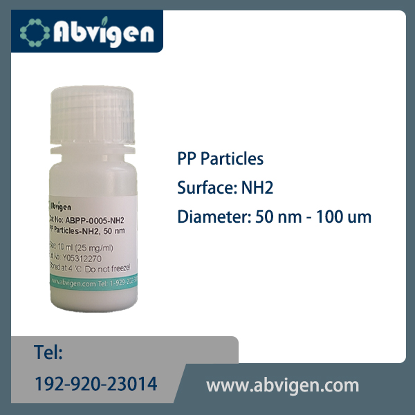 PP Particles-NH2.jpg
