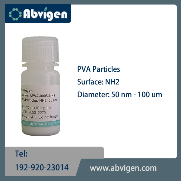 PVA Particles-NH2.jpg