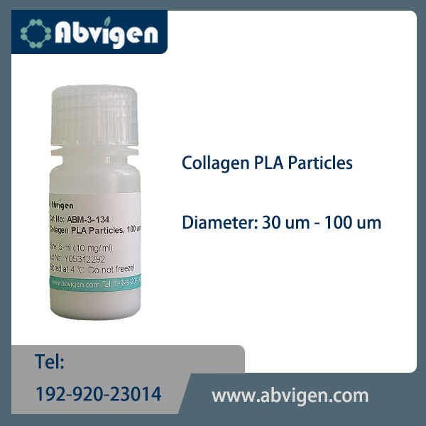 Collagen PLA Particles.jpg