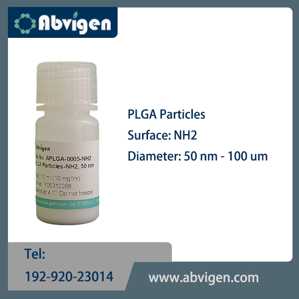 PLGA Particles-NH2.jpg
