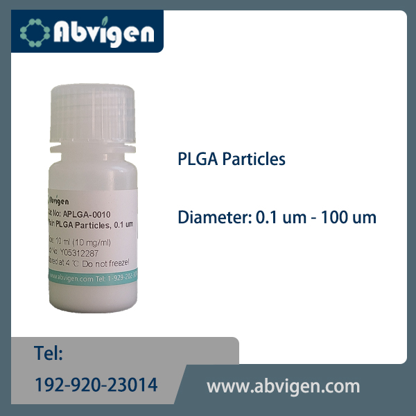 PLGA Particles.jpg