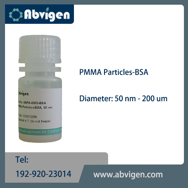 PMMA Particles-BSA.jpg